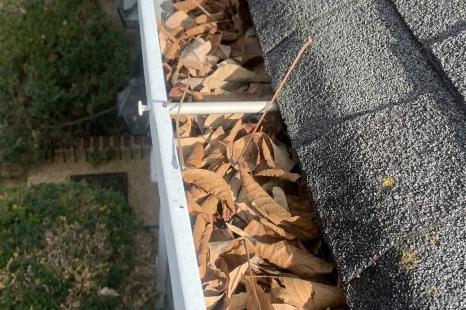 Fort Myers Gutter Cleaning