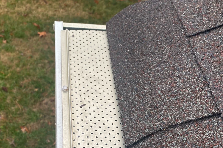 Fort Myers Gutter Cleaning