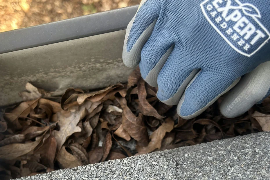 Gutter Cleaning Fort Myers FL