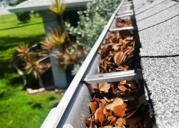 Gutter Cleaning Fort Myers FL home page